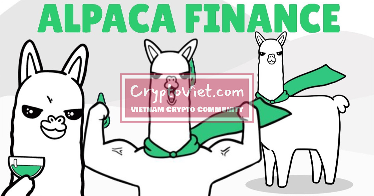 Alpaca Finance là gì? Thông tin về đồng ALPACA