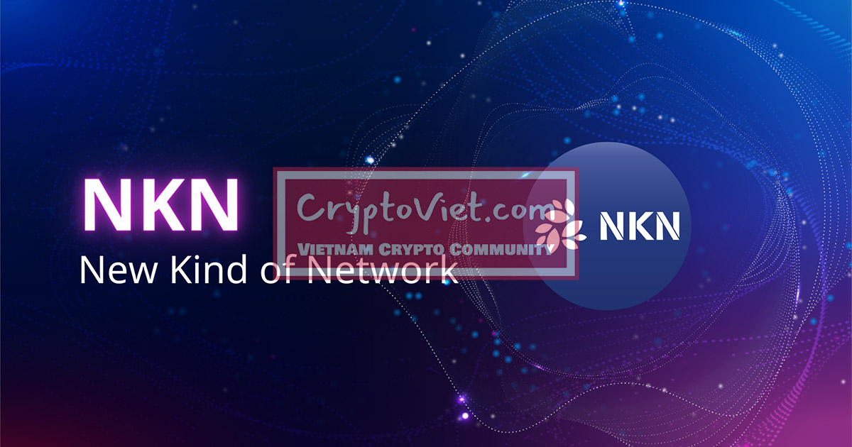 NKN Coin là gì? Thông tin về đồng NKN