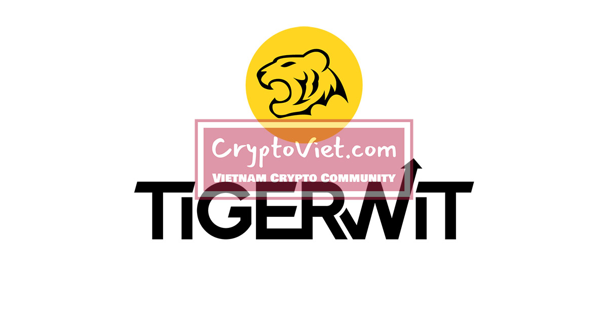 TigerWit là gì? Đánh giá sàn TigerWit