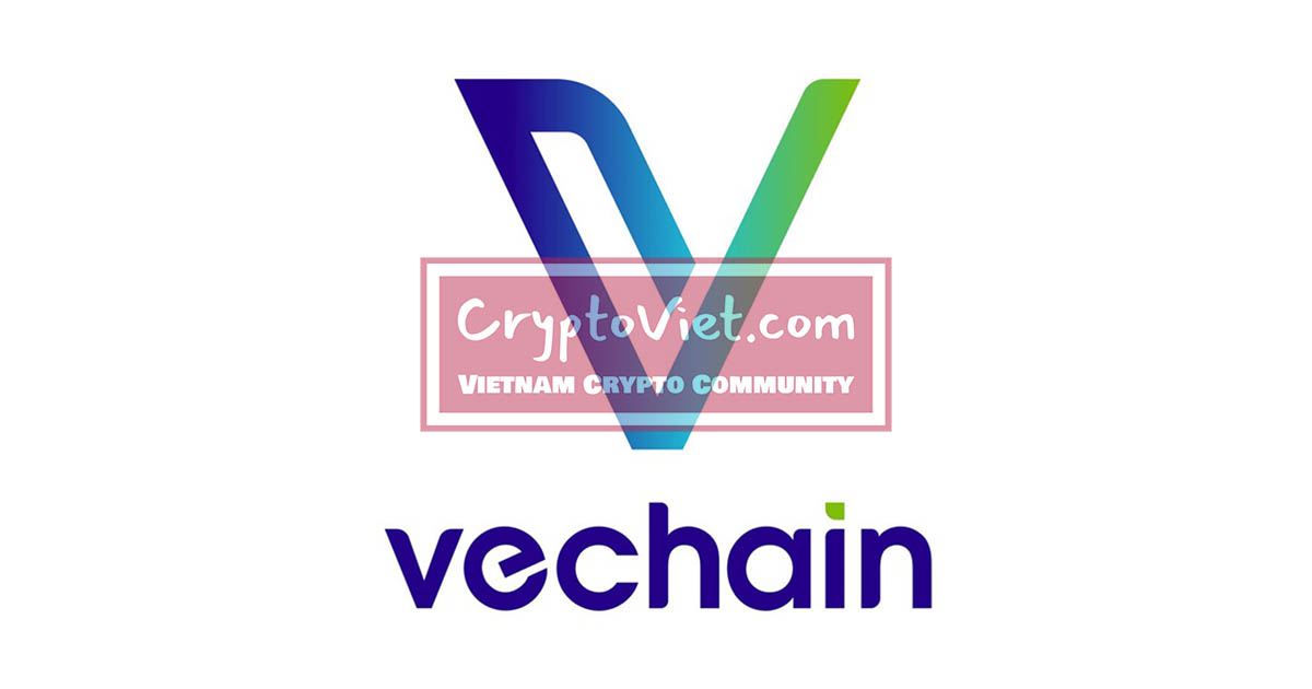 VeChain là gì ? Thông tin về đồng VET